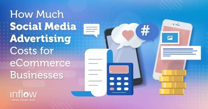 Social media ad costs