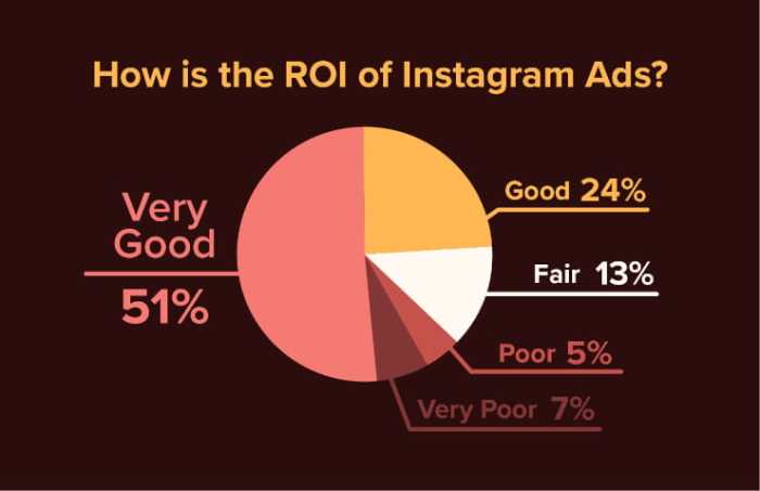 Instagram advertising ad roi gain formats optimize engagement