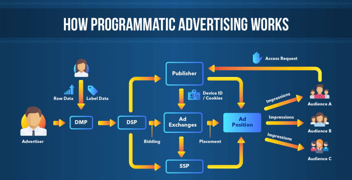 Programmatic scaleo channels operates basics